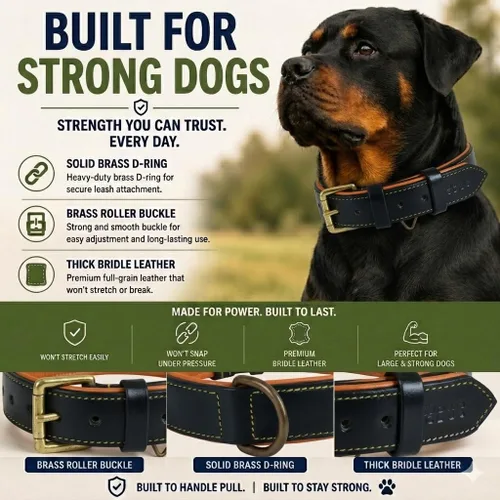 Vista 5 de Collar de cuero para perro Collar de cuero para perros pequeños, collar de perro de 0.75 pulgadas de ancho, negro, genuino, de grano completo