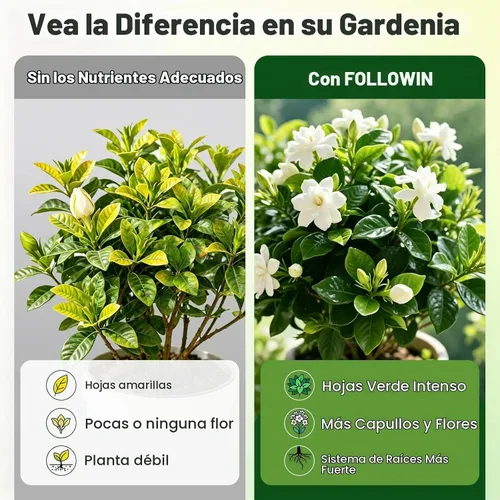 Vista 3 de FOLLOWIN Fertilizante Gardenia, 3-1-2 alimento líquido para plantas