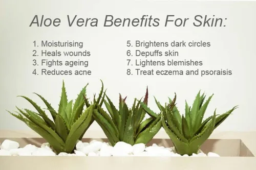 Vista 2 de Organic Hair Solution - Aceite corporal nutritivo de rosas, fórmula a base de plantas, hidratante para piel seca y aceite de masaje corporal