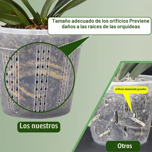 Vista 3 de Maceta de orquídeas con platillos, 4 de cada una de 4.3" y 5.5" macetas de orquídeas con agujeros, 8 piezas de macetas de plástico transparente