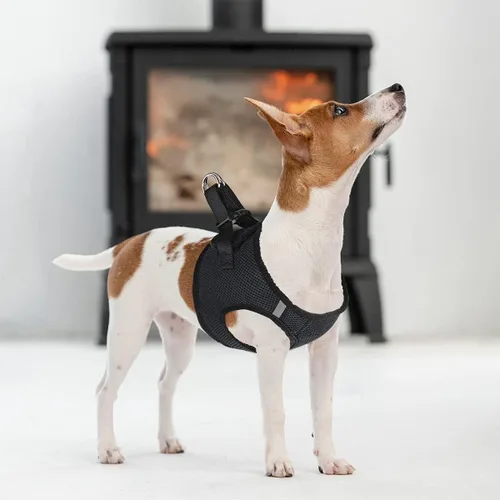Vista 7 de Dogline York Step-in Air - Arnés de malla para perro, sin estrangulamiento, chaleco suave acolchado en el pecho para cachorros, perros pequeños
