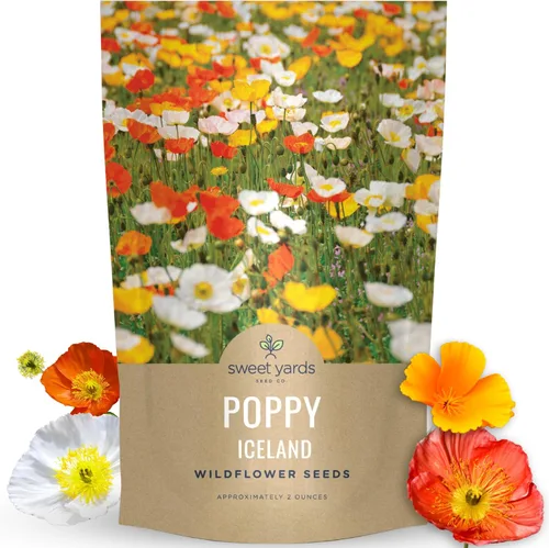 Vista 8 de Amapola - Islandia - Paquete grande de 1/2 onza - 75,000 semillas de flores para plantar - Papaver nudicaule