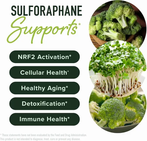 Vista 2 de Suplemento de sulforafano de 50 mg de brotes de brócoli Activación NRF2, salud celular y apoyo inmunológico Glucorafanina, mirosinasa