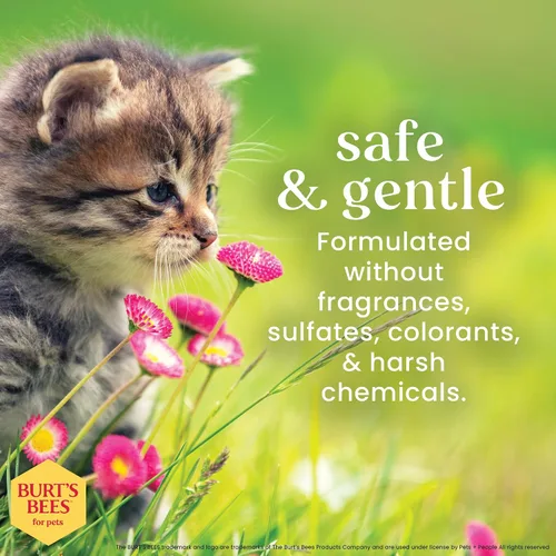 Vista 5 de Burts Bees for Pets - Toallitas de aseo para gatitos con suero de leche, 50