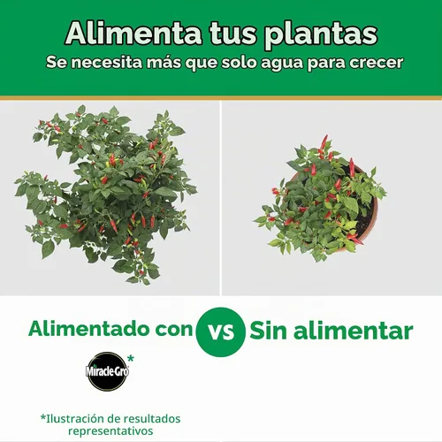 Vista 7 de Miracle-Gro Alimento vegetal soluble en agua, verduras y hierbas, 2 lb