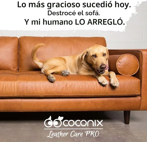 Vista 8 de COCONIX - Bálsamo recolorante de cuero negro puro y restaurador de color de vinilo para sofás