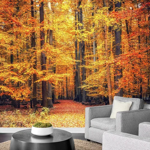 Vista 13 de Papel tapiz Signford para pared, desprendible, diseño de bosque, para dormitorio y sala de estar