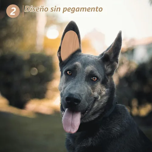 Vista 9 de POPETPOP Soporte adhesivo para orejas de perro, herramienta de soporte para cachorros y Doberman sin pegamento, cinta autoadhesiva para mascotas