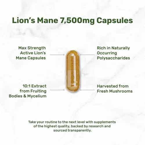 Vista 5 de Suplemento de hongo Lions Mane, 240* cápsulas – Cuerpo fructífero activo y extracto de micelio – Nootrópico natural para el cerebro y potenciador