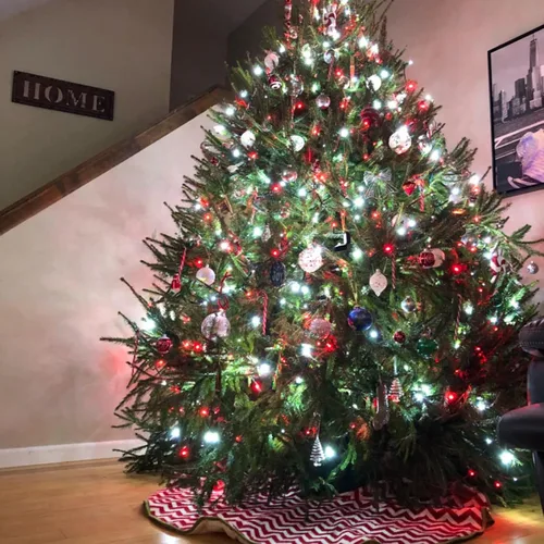 Vista 9 de OZS Guirnalda de luces de Navidad conectables rojas y blancas, paquete de 2 luces de Navidad de 164 pies en total de 400 LED para Rojo y blanco