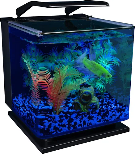 Vista 6 de Kit de acuario GloFish Betta Shadowbox