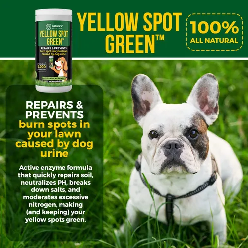 Vista 5 de Yellow Spot Green™ Cura quemaduras de orina y previene manchas amarillas en tu jardín. Neutralizador de orina de perro para céspedes. Repara