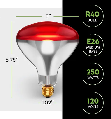 Vista 2 de Bombillas incandescentes de 250 W R40 (paquete de 2) - Lámpara de calor infrarroja para baño para pollos, pollitos, cachorros, reptiles, ganado