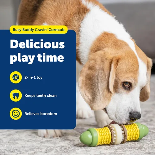 Vista 2 de PetSafe Busy Buddy Cravin Corncob - Juguete para masticar, sin BPA, con aroma a mantequilla de goma, rompecabezas interactivo para mascotas