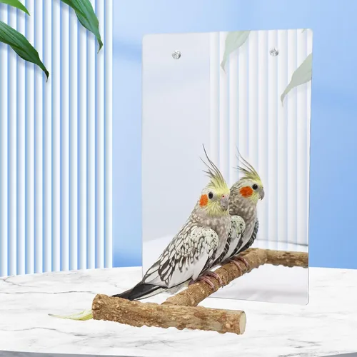 Vista 3 de Juguete de espejo de pájaro con soporte de perca, espejo de perico de loro con campana oscilante para pájaros, accesorios de jaula de pájaros