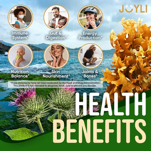 Vista 2 de JOYLI Nutrition Paquete de 2 gomitas de musgo marino para adultos y niños, suplemento vegano de musgo marino irlandés con vejiga y raíz de bardana