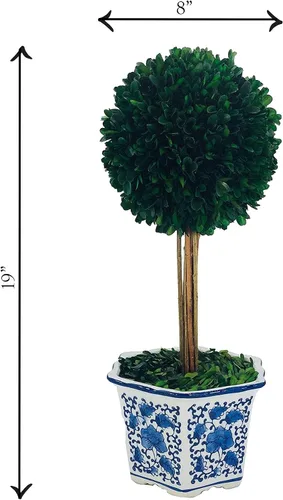 Vista 5 de Galt International Topiarios de boj preservados naturalmente en maceta de cerámica azul y blanca, bola de 11 pulgadas y topiario de árbol de 19
