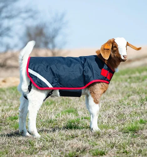 Vista 8 de Horseware Ireland RAHG21-JISK - Abrigo de cabra Excalibur/plateado, XL