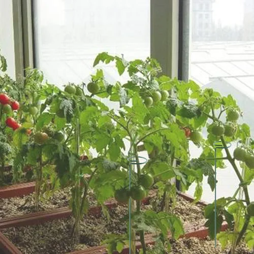 Vista 7 de Soporte de estaca para plantas, paquete de 6, anillos de soporte de jaula de plantas de un solo tallo para jardín, estacas de soporte para plantas