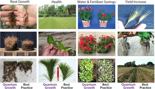 Vista 3 de Probiótico orgánico ligero para plantas y suelos de 1 galón
