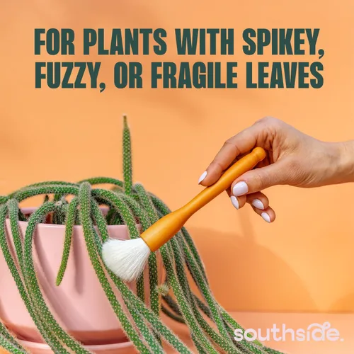Vista 2 de Southside - Cepillos de limpieza para plantas suculentas y cactus, asas de madera con cerdas suaves de pelo de cabra, herramientas de limpieza