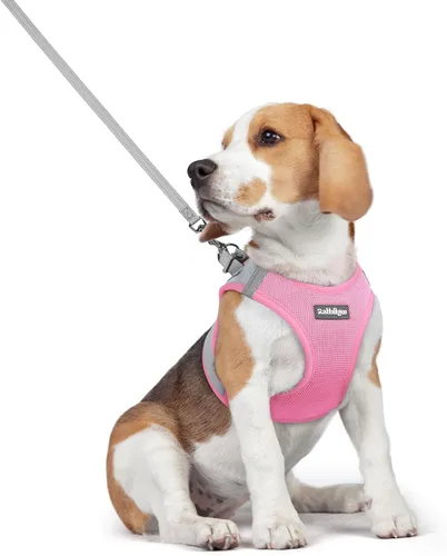 Vista 114 de rabbitgoo Arnés para perro de tamaño pequeño y juego de correa, chaleco Cachorros de manzana