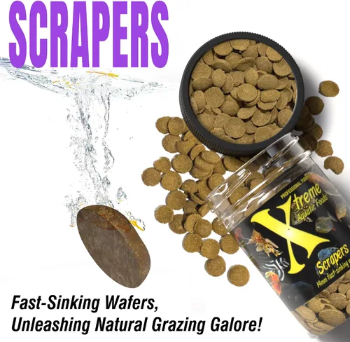 Vista 4 de Xtreme Scrapers - Obleas de 0.551 in - Pleco, bagre y locha para pescado