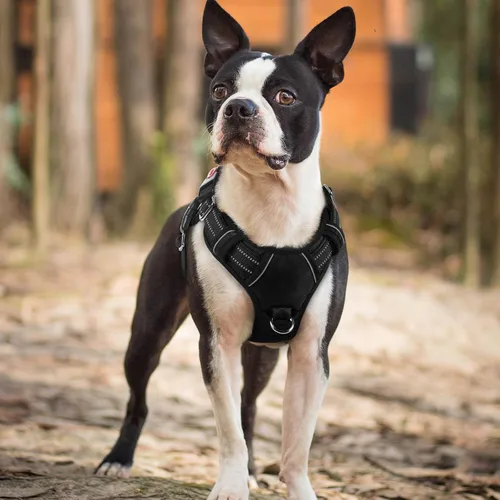 Vista 8 de rabbitgoo Arnés para perro de tamaño pequeño, chaleco para perro sin tirones con 3 hebillas, arnés ajustable y acolchado suave para mascotas con asa