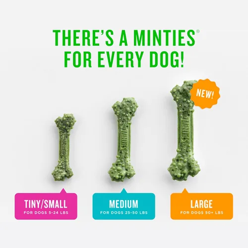 Vista 3 de Minties Golosinas masticables dentales para perros, 60 unidades + Minties FreshBites Golosinas dentales suaves y masticables para perros, 50