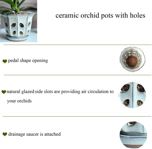 Vista 3 de Macetas de orquídeas con agujeros de 6 pulgadas de cerámica para orquídeas con platillo adjunto y orificio de drenaje (blanco)