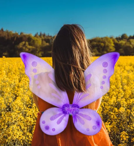 Vista 9 de Butterfly Pixie Fairy Glitter Wings, Lightweight Elastic Straps, Mesh Angel Costume for Party