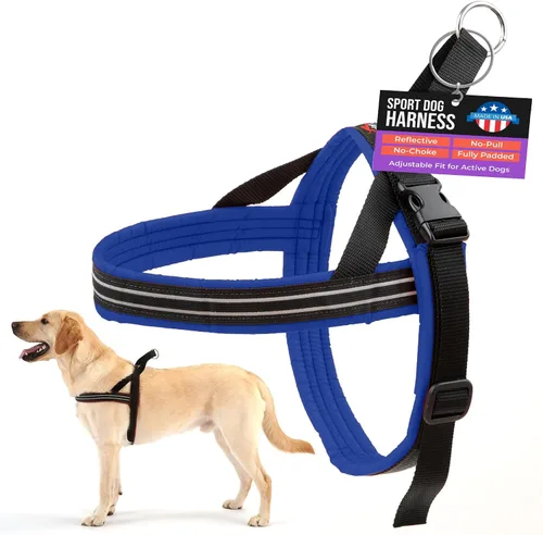 Vista 12 de Arnés de deportes ComfortFlex de PetPDC, Berry American made, designed, cut, assembled, and sewn in the USA, padded reflective harness, integrated