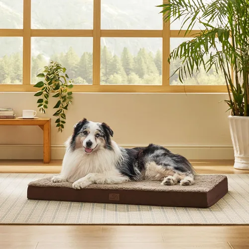 Vista 49 de Bedsure - Cama ortopédica pequeña para perros chicos, impermeable, con funda extraíble lavable, tapete de espuma con forma de huevera para mascotas