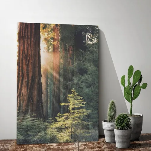 Vista 2 de Póster de lienzo con diseño de árbol de secuoya con salida del sol, bosque, naturaleza, decoración de dormitorio, paisaje deportivo, oficina