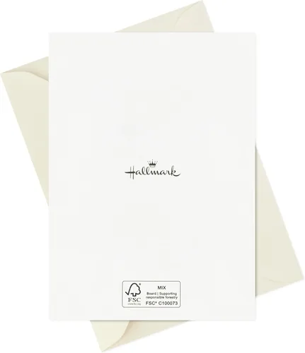 Vista 7 de Hallmark Tarjetas de mariposa en blanco, paquete surtido de 24 (gracias, hola)