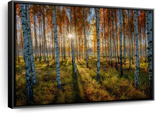 Vista 12 de ElephantStock - Swedish Birch Forest Wall Art - Horizontal Floating Framed Canvas - Hallway Wall Decor - Photography Nature Framed Canvas Art