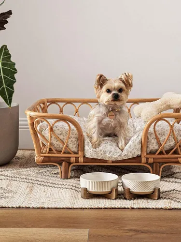 Vista 4 de LE TAUCI PET Juego de cuencos de cerámica para perros y gatos con soporte de madera de acacia, 2 tazas con peso antideslizante para alimentos y agua