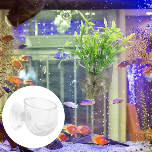 Vista 6 de Ipetboom 4 piezas de macetas colgantes para acuario con gusanos rojos, tazas para plantas acuáticas, soporte para camarones acuáticos, decoración