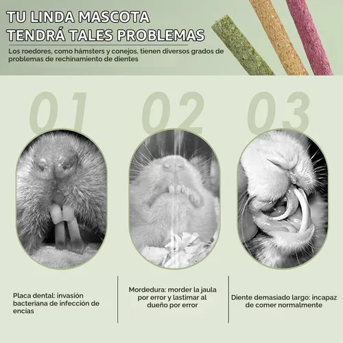 Vista 5 de ERKOON Timothy - Palitos de heno, juguetes masticables de conejo para dientes, palitos molares naturales, golosinas para conejitos, conejillos