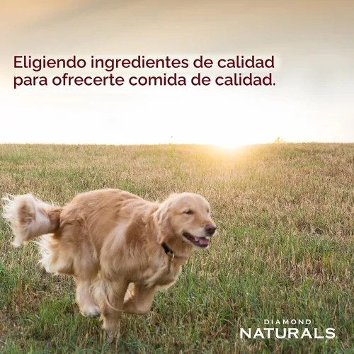 Vista 5 de Diamond Naturals Alimento seco para perros adultos de raza pequeña, pollo y arroz, 6 libras