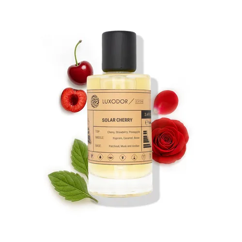 Vista 17 de Inspirado en S.antal 33 Eau De Parfum Perfume de madera de sándalo y madera, 3.4 fl oz (3.4 fl oz) con aceite concentrado, Perfume unisex S.antal