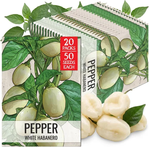 Vista 110 de Seed Needs - Semillas de pimiento arcoíris para plantar verduras, 1 paquete