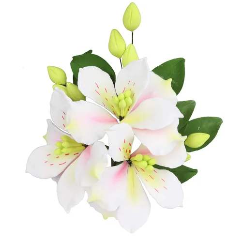 Vista 10 de O'Creme Aerosol de Flor de Masa de Goma, Rosa Blanca 6x8 - Flores Comestibles para Decorar Pasteles - Decoraciones de Flores para Tartas, Caramelos