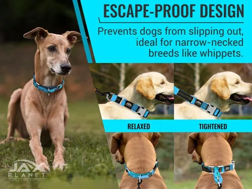 Vista 5 de Collar Martingale para perros, collar de entrenamiento para perros sin tirones y antideslizante, nailon resistente para caminar activamente, hebilla