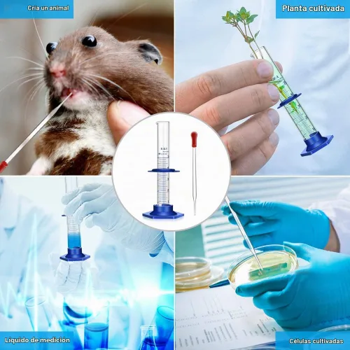 Vista 9 de Cilindro graduado de vidrio grueso para medir líquidos, cilindros de laboratorio con base de plástico antideslizante y protectores de parachoques