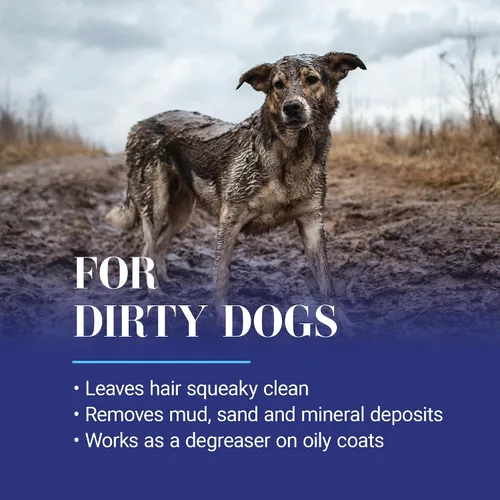 Vista 4 de Chris Christensen Clean Start Champú para Perros, Asequia como un Profesional, Fórmula Profunda de Limpieza con Pro-Vitaminas, Preserva los Aceites