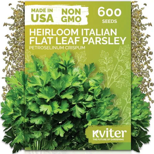 Vista 16 de KVITER 1000 semillas de quinua de cordero (Chenopodium Album) - Hierbas comestibles autóctonas, ideales para jardines de hierbas orgánicas