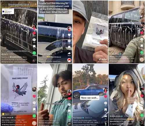 Vista 6 de Bromas e ideas para bromas – Caca de pájaro falso para autos Efectos especiales Día de los Inocentes Prank Stuff Stuff Gag Regalos Juguetes