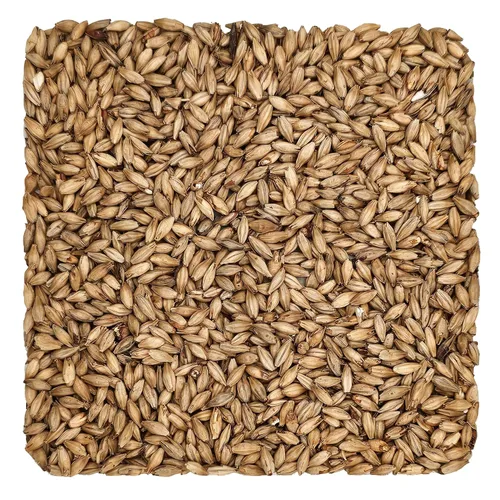 Vista 8 de Briess 2-Row Brewers Malt 1.8L - 10 lb