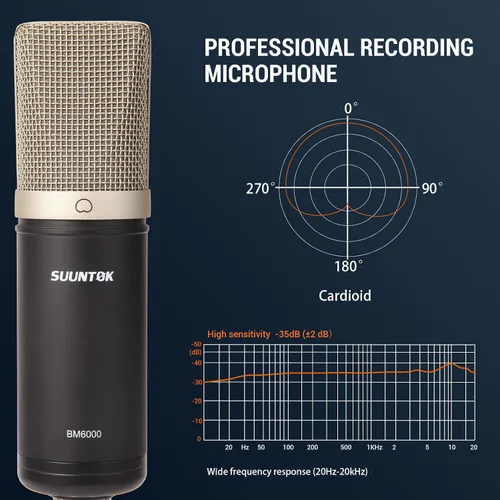 Vista 4 de Micrófono de condensador XLR, kit de micrófono cardioide de grabación profesional de diafgrama grande con soporte de choque, para estudio Negro